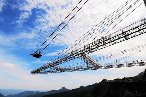 懸崖秋千,在挑戰(zhàn)極限中觸摸天空